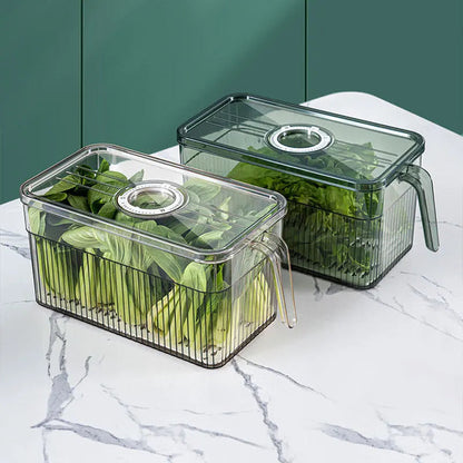 Fresh-Keep Refrigerator Storage Box Clear Organizer