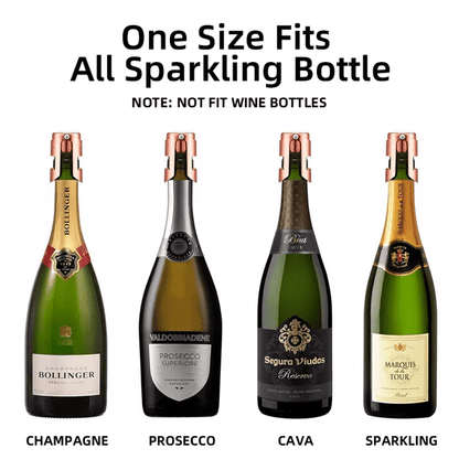 Stainless Steel Wine Bottle Stopper